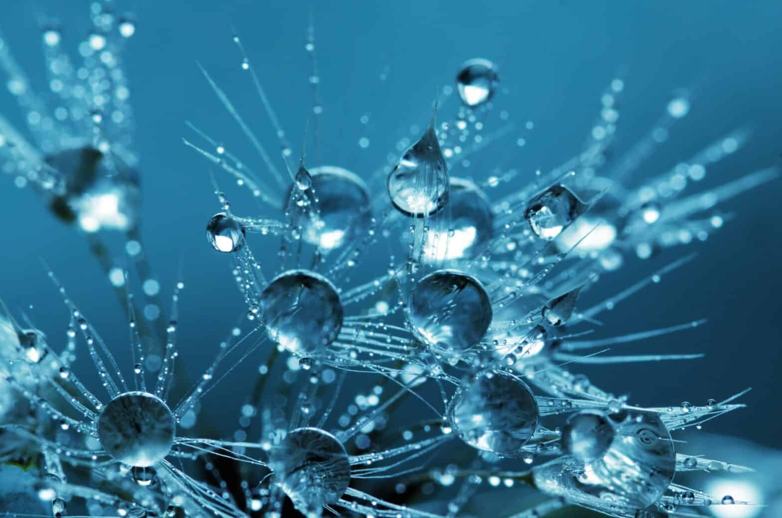 Coronavirus (COVID-19) impact on Australian Businesses