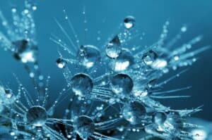 Coronavirus (COVID-19) impact on Australian Businesses