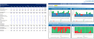 Report vs KPI dashboard