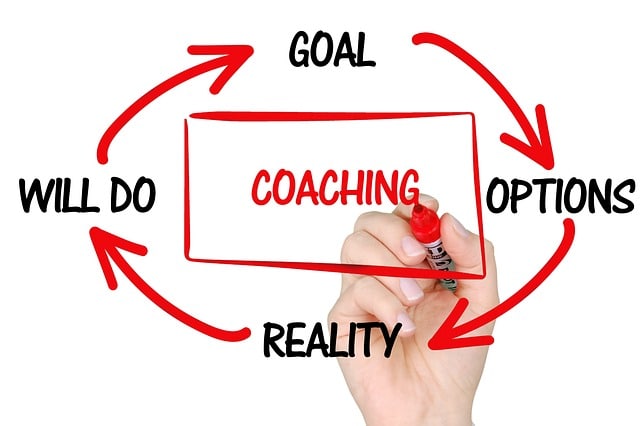 Business Coaches